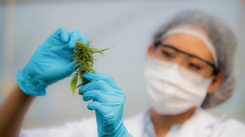 Medical cannabis